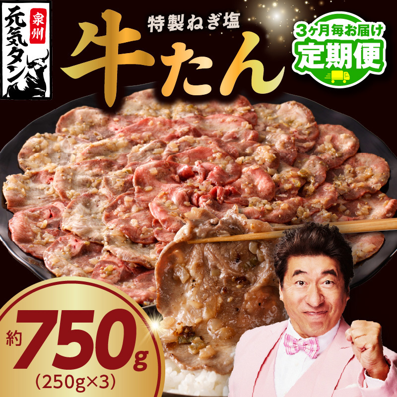 【定期便】ねぎ塩 牛たん 750g 小分け 250g×3【牛タン 牛肉 焼肉用 薄切り 訳あり サイズ不揃い 2026年2月＆5月発送 全2回】 099Z426