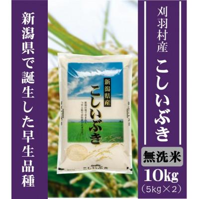 ふるさと納税 刈羽村 【新潟県早生品種】【無洗米】刈羽村産こしいぶき 10kg(5kg×2袋)