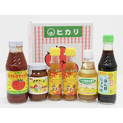 ふるさと納税 上板町 ヒカリ　調味料セット