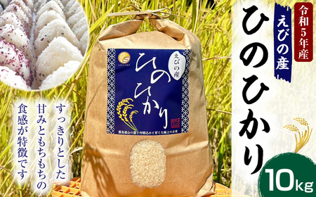 【令和6年度】新米 えびの産 ヒノヒカリ 10kg お米 米 白米 ごはん 精米 おこめ おにぎり お弁当 お取り寄せ 宮崎県 えびの市 送料無料 コメ こめ ひのひかり