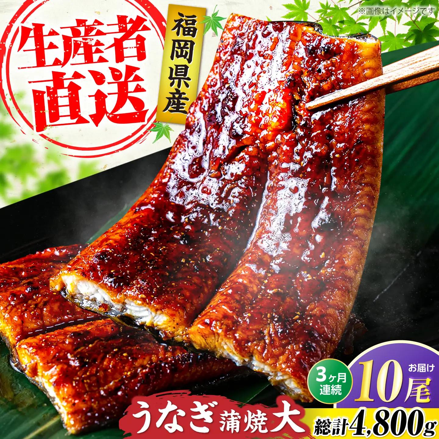 【全3回定期便】福岡県産 うなぎ 蒲焼 大10尾 VAD027 うなぎ