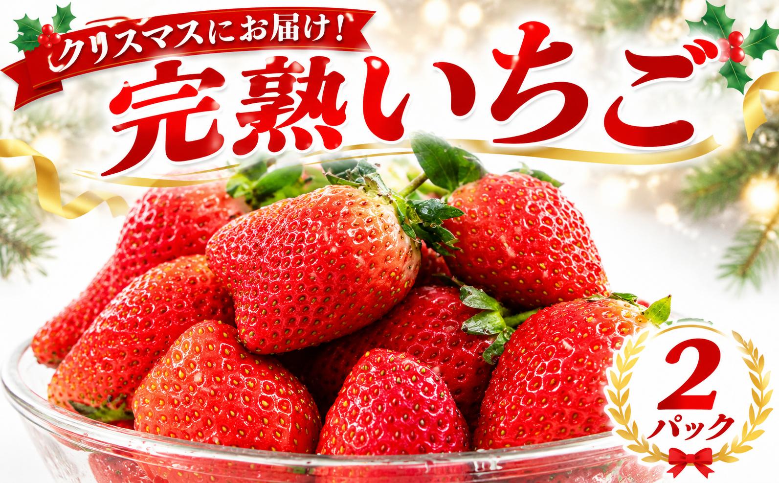 
                  【クリスマスにお届け】 いちご とちおとめ かおり野 やよいひめ 約 260g × 2パック クリスマス おまかせ 苺 イチゴ いちご トチオトメ かおりの やよい姫 フルーツ 果物 くだもの デザート ケーキ 野菜 完熟 朝採れ 新鮮 国産 茨城県 筑西市 関東
                