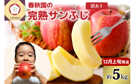 サンふじ 訳あり 5kg 【2026年12月上旬発送】 青森産　りんご 春秋園 家庭用 完熟サンふじ