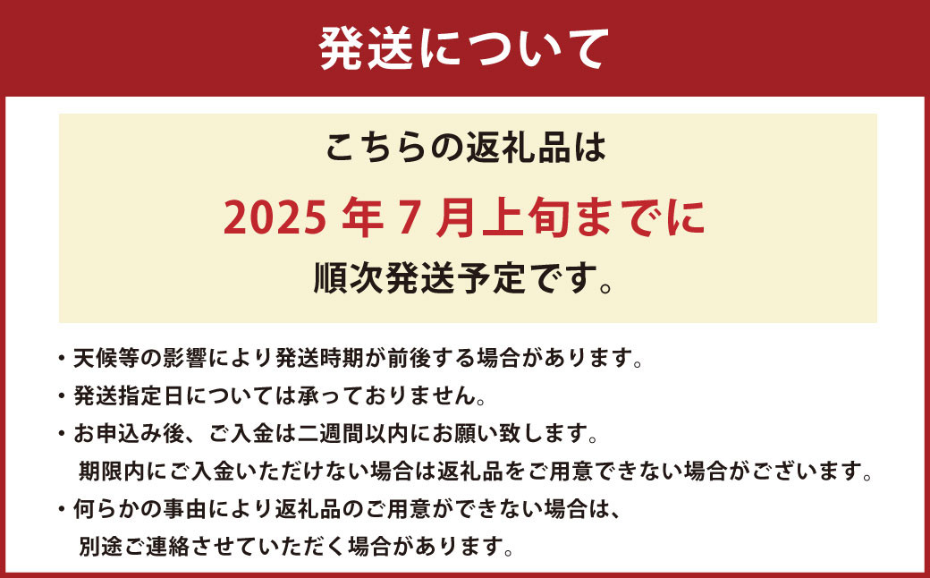 熊本市産 羅皇 ザ・スウィート1玉（M以上・約5kg）