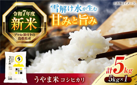 島根県産「うやま米 コシヒカリ（雲南市吉田町）」5kg（5kg×1）島根県松江市/有限会社藤本米穀店[ALCG039]