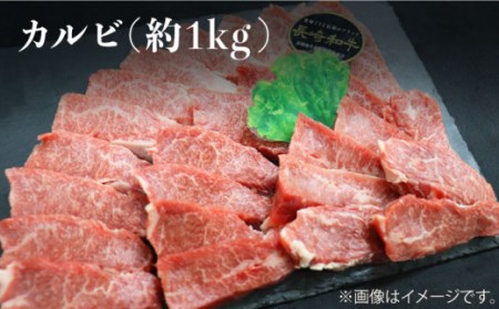 【焼肉大会】【12回定期便】長崎和牛 焼肉用部位×12回定期便＜株式会社黒牛＞ [CBA049]