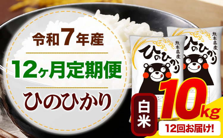 【12ヶ月定期便】 令和7年産 白米 ひのひかり 定期便 10kg《お申込み翌月から出荷》 熊本県産 ふるさと納税 精米 ひの 米 こめ ふるさとのうぜい ヒノヒカリ コメ お米---mifune_lcl_1231_mo12_---