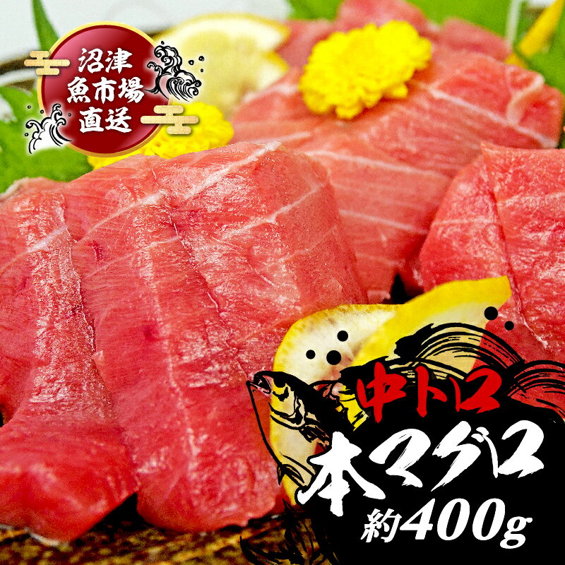 【ふるさと納税】 本マグロ 中とろ 400g さしみ マグロ 中トロ トロ 晩酌 刺身 柵 皮付き 酒のつまみ 漬け丼 冷凍 鮪 赤身 海鮮 ふるさと納税 マグロ ネギトロ ブロック 訳あり ふるさと まぐろ ふるさと納税 人気 ふるさと納税 マグロ ランキング