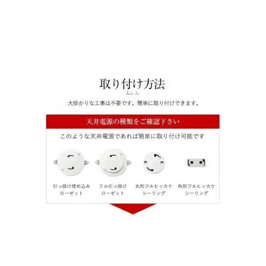 シーリングスポットライト リモコン 天井照明 LED昼白色付属[802]