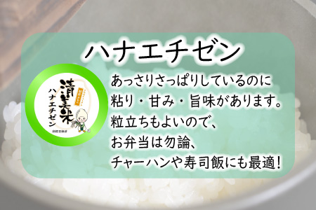 【令和6年産・新米】【6ヶ月連続お届け】福井県産 低農薬極上米 無洗米 5kg × 6回 計30kg 『ハナエチゼン』[J-8806_02]