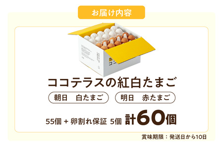ココテラスの紅白たまご　55個 + 5個保証（計60個）【JGAP認証】 農家直送 新鮮 卵 タマゴ 赤卵 白卵 玉子 鶏卵 朝食 夕食 夜食 朝ごはん たまご焼き だし巻き卵 オムレツ 卵ご飯 料理
