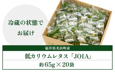低カリウムレタス 美野菜 「JOIA」 20袋 クリーンルーム栽培 無農薬 鮮度長持ち 【野菜 生野菜 レタス サラダ お弁当 水耕栽培 大容量 洗わず食べられる 時短 付け合わせ】レタス フリルレタ