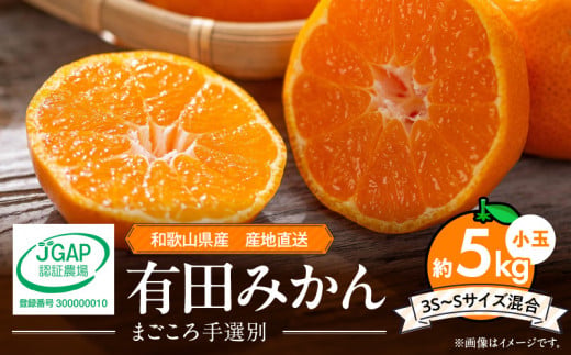 ZE6044n_【2025年先行予約】和歌山県産 有田みかん 5kg 小玉(3S～Sサイズ混合)【まごころ手選別】