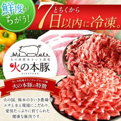 ふるさと納税 和水町 「火の本豚」餃子　20個入り×2パック(和水町) |  | 02