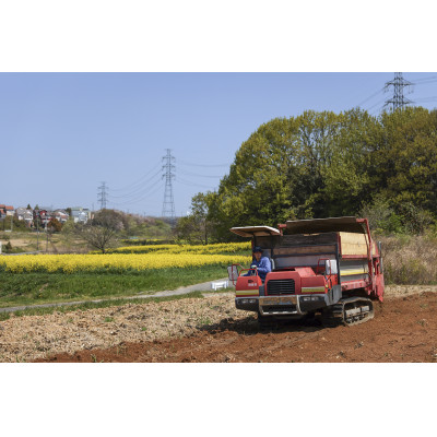 なのはな油600g×2(愛知県産菜種100%使用、昔ながらの一番搾り製法)【1261086】