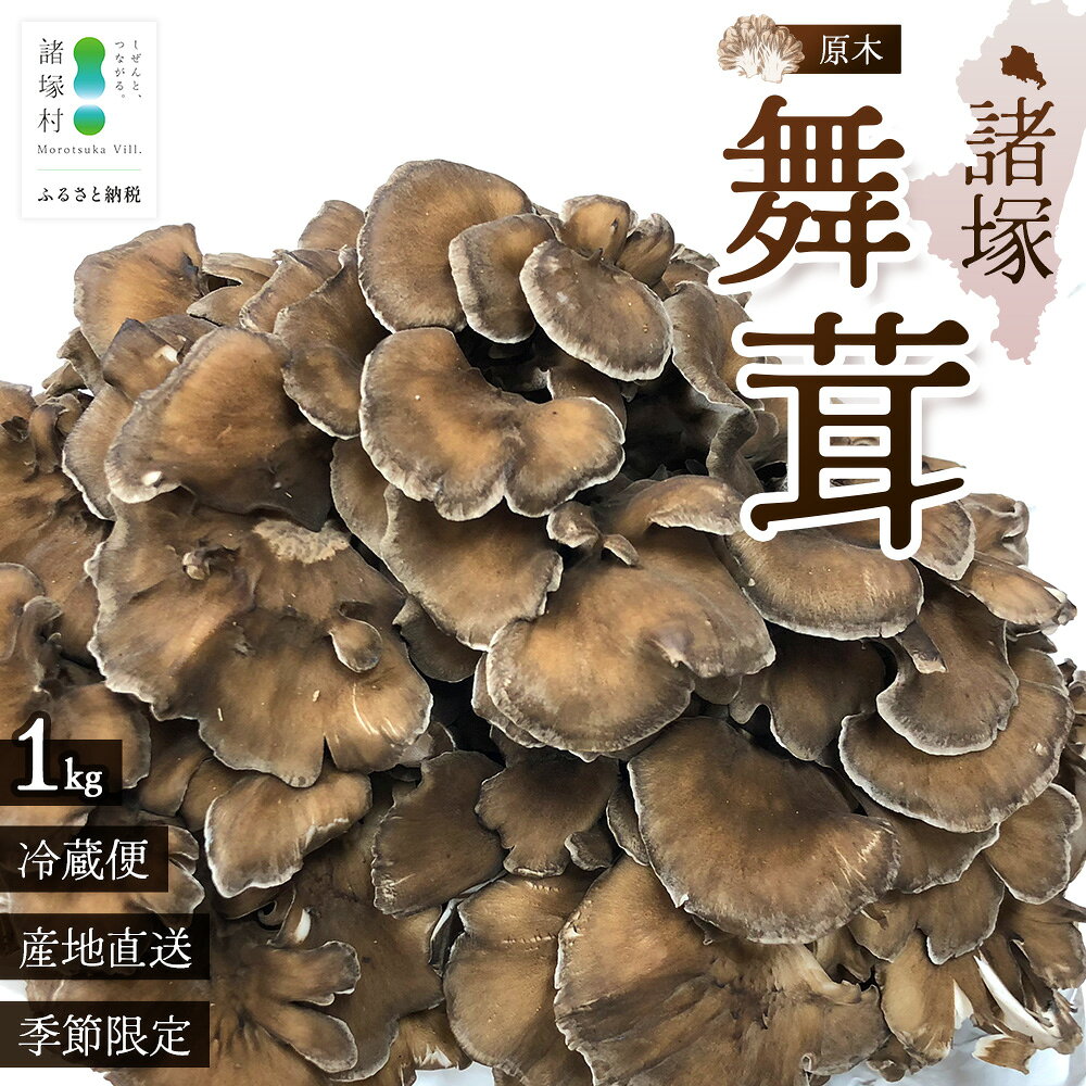 【ふるさと納税】【先行予約】宮崎県諸塚村産 原木舞茸 1kg 数量限定［2026年10月下旬～11月中旬ごろにお届け］冷蔵｜マイタケ きのこ キノコ 原木まいたけ 産地直送 秋の味覚 もろっこはうす 宮崎県 諸塚村 MO-29