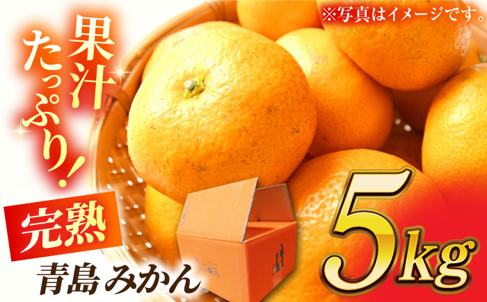 
【先行予約】完熟 青島 みかん 約5kg【合同会社 社方園】ミカン 熊本 5キロ 柑橘 熊本 [ZBZ003]
