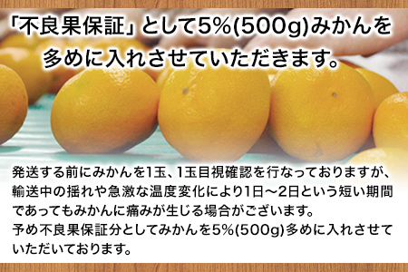 みかん 訳あり 大粒 みかん 10kg 大玉