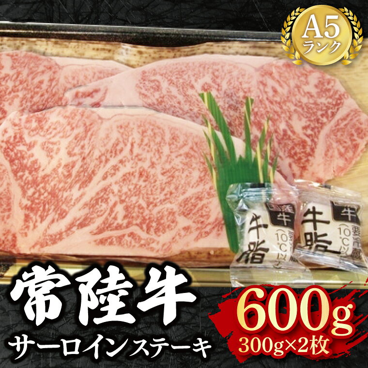【ふるさと納税】常陸牛 A5ランク サーロインステーキ 600g（300g×2枚）冷凍 国産牛 和牛 肉 牛肉 ステーキ 小分け お取り寄せ 老舗精肉店 肉の加治 茨城県 水戸市（EK-2）