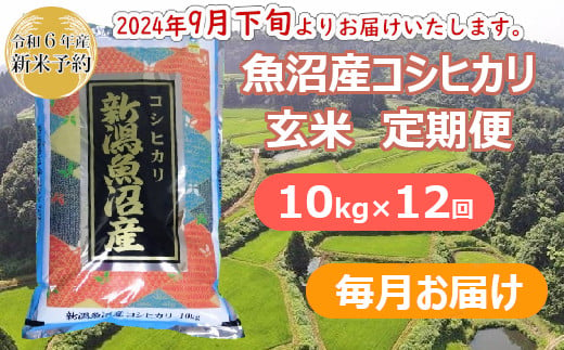 S272P283 【令和6年産 新米予約】魚沼産コシヒカリ・棚田米 玄米10kg×12回（毎月）早期受付 2024年9月下旬頃より発送開始 魚沼 米