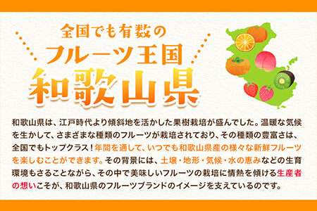 苺 いちご まりひめ 約1kg(約260g×4パック) 