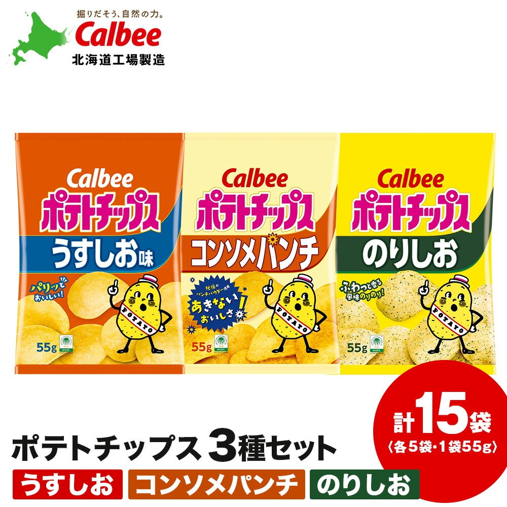 【ふるさと納税】カルビーポテトチップス 3種セット 合計15袋 《北海道工場製造》 スナック お菓子 北海道 千歳 ポテチ ポテトチップス 北海道ふるさと納税 千歳市 ふるさと納税【北海道千歳市】 ギフト ふるさと納税