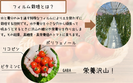 鶴居村 ふるさと納税】北海道 鶴居村　つるいトマト 1ｋｇ 工務店が作った 高糖度 8.5以上! ( フルーツ のような 甘さ ミニトマト フィルム栽培　甘い フルーティー とまと TOMATO)