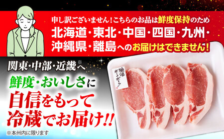 【6回定期便】 ※冷蔵配送/地域限定※ 岐阜県産 豚 瑞浪ボーノポーク ロース 1kg ステーキ 生姜焼き 焼肉 瑞浪市 / きなぁた瑞浪[AZCI066]