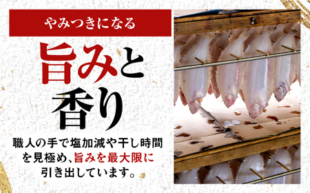 【先行受付/10月上旬より順次発送】 献上鰈 上品な味わい 若狭かれい一夜干し 約100g×10尾セット / 干物 魚介 冷凍 ギフト 小浜市 / まるほ商店 【配送不可地域：北海道・沖縄・離島】[B