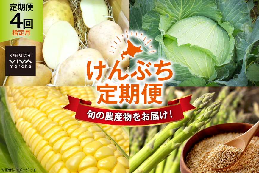 野菜 定期便 4回 【剣淵町産】 けんぶち定期便 [けんぶちVIVAマルシェ 北海道 剣淵町 14656406] やさい ベジタブル キャベツ キヌア アスパラ とうもろこし じゃがいも 定期 料理 旬野菜 ふるさと納税
