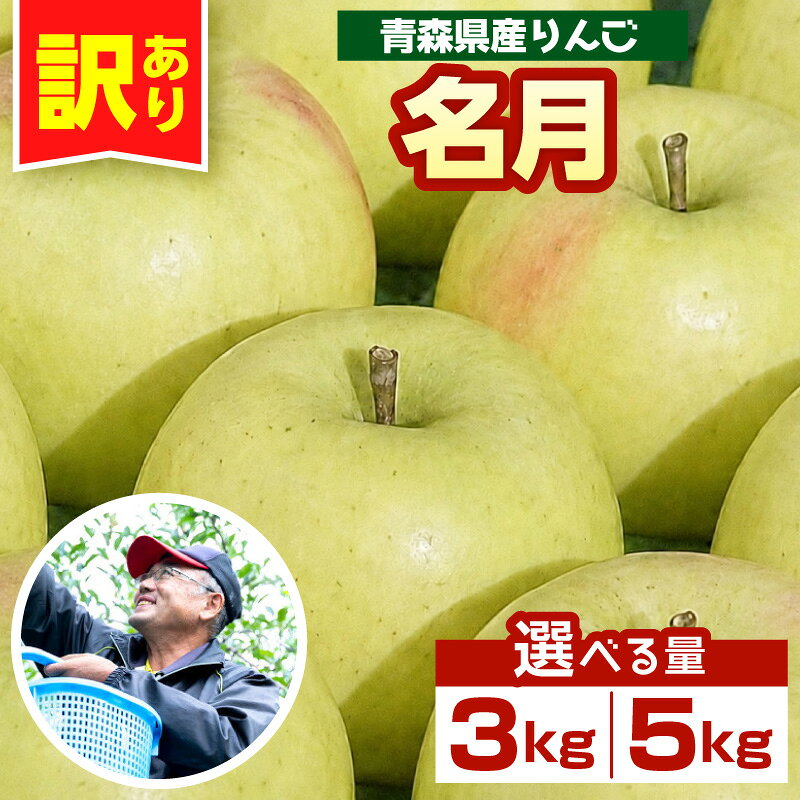 【ふるさと納税】りんご 青森 ぐんま名月 訳あり (内容量が選べる 約 3kg / 5kg ) 農家直送 【 11月 中旬以降順次発送】群馬 めいげつ ふるさと納税 傷 キズ ワケアリ フルーツ 林檎 リンゴ 送料無料 青森県 五所川原市
