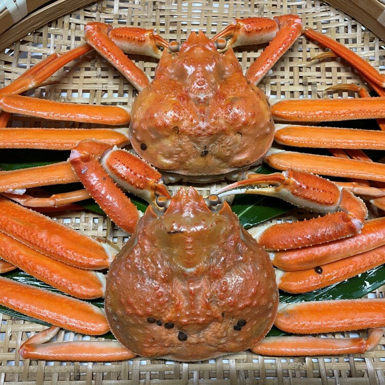 【ふるさと納税】【11月順次発送】【訳あり】浜茹で本ズワイガニ　足欠「雄ガニ　2杯（約600g）」 蟹 カニ 海鮮 魚介類 甲殻類 産地直送 冷凍 お取り寄せ 新潟県 村上市 送料無料 1043006