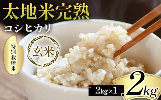 
            2024年産 特別栽培米 太地米完熟 【こしひかり】 玄米 2kg ブランド米 お米 人気 F7X-0315
          