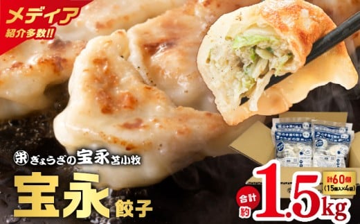 【ぎょうざの宝永】宝永餃子375g入（15個入）×4袋 合計1.5kg　T004-001