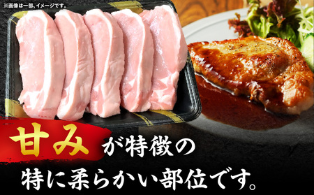 オリーブ豚ロース極厚ステーキ 計1000g【高松市共通返礼品】| 国産 国産豚 オリーブ豚 豚肉 1000g 1kg ブランド豚 ロース 極厚 お肉 豚 冷凍 とんかつ ステーキ 日用 贈答 贈り物 