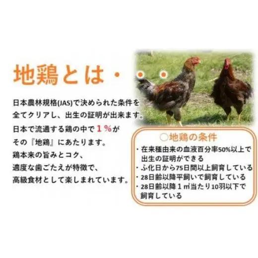 ブランド地鶏「妻地鶏」ぎょうざ詰合せ45　120個（12個×10パック） 小分け＜8-23a＞