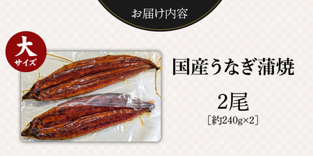 国産うなぎの蒲焼き 大サイズ×2尾 T08106