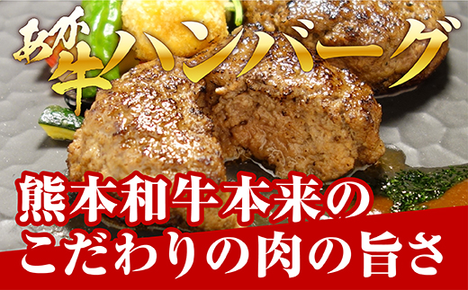 あか牛 100％ ハンバーグ 120g×6個 あか牛のたれ200ml セット 【 ハンバーグ あか牛 牛肉 国産牛 和牛 旨味 熊本県 多良木町　タレ付 】046-0455