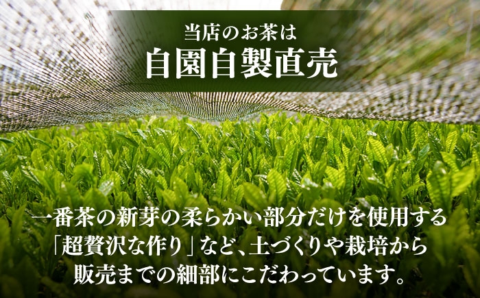 ふかむし茶 お茶 緑茶 銘茶 茶葉 厳選  特産品 おちゃ tea ティー 日本茶 受賞 濃厚  飲料 飲み物 熊本県 菊陽