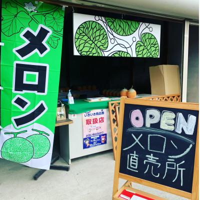 ふるさと納税 能勢町 8月初旬発送予定!　大阪府能勢町産　青肉メロン1玉×メロンピクルス2本セット　 |  | 03