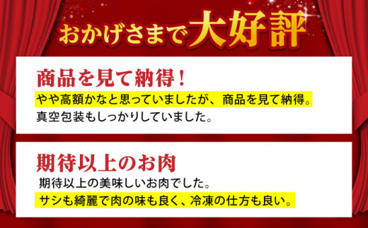 【全6回定期便】佐賀牛 A5 リブロース スライス 500g 牛肉 定期便 ロース すき焼き 黒毛和牛 ギフト 贈答用 贈答品