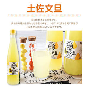オレンジ園の濃縮ジュース 土佐文旦 500ml 3本 6回定期便 希釈用 みかんジュース チューハイ用 ドリンク ジュース 柑橘類 蜜柑 みかん【J00114】