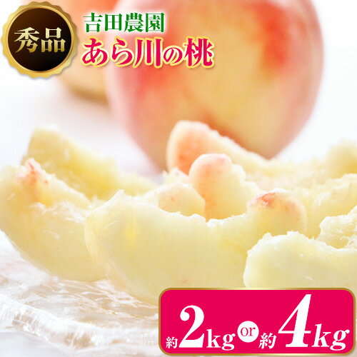 【ふるさと納税】あら川の桃 選べる 約2kg 約4kg 秀品 吉田農園《2025月年6月下旬-8月下旬頃出荷》 和歌山県 紀の川市 桃 もも モモ 白鳳 清水白桃 川中島白桃 あら川の桃 送料無料