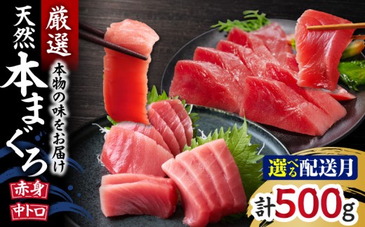 本物の味をお届け！厳選！天然本鮪 中トロ・赤身セット【9月お届け】　M005-021-09