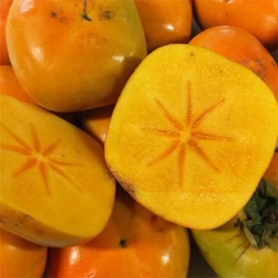 ふるさと納税 和歌山市 和歌山産 みかんとたねなし柿セット 秀品10kg (各5kg) |  | 02