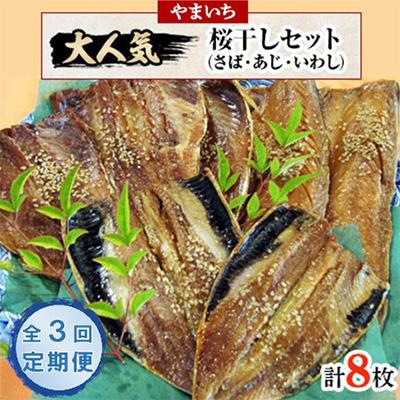 ふるさと納税 宮津市 【毎月定期便】やまいち大人気桜干セット全3回