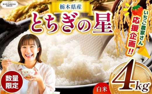 【栃木県共通返礼品】【先行予約】  訳あり 定期便 数量 限定 令和8年度産 とちぎの星 約 4kg| とちぎの星  白米 ごはん おいしい 品種 お米 米 おにぎり  ふるさと納税 那珂川町 栃木県
