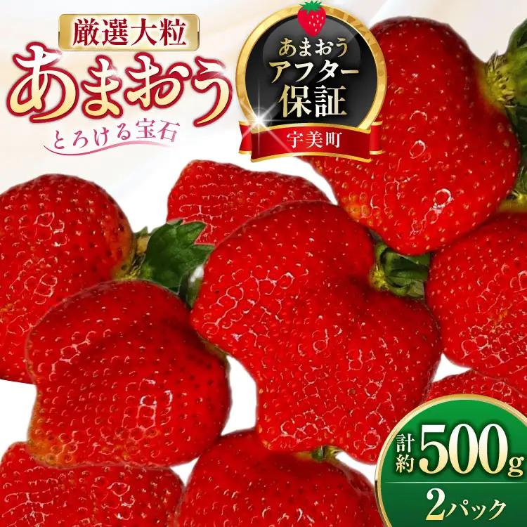いちご 厳選大粒 あまおう 約250g～270g 2パック いちご 【2027年発送】