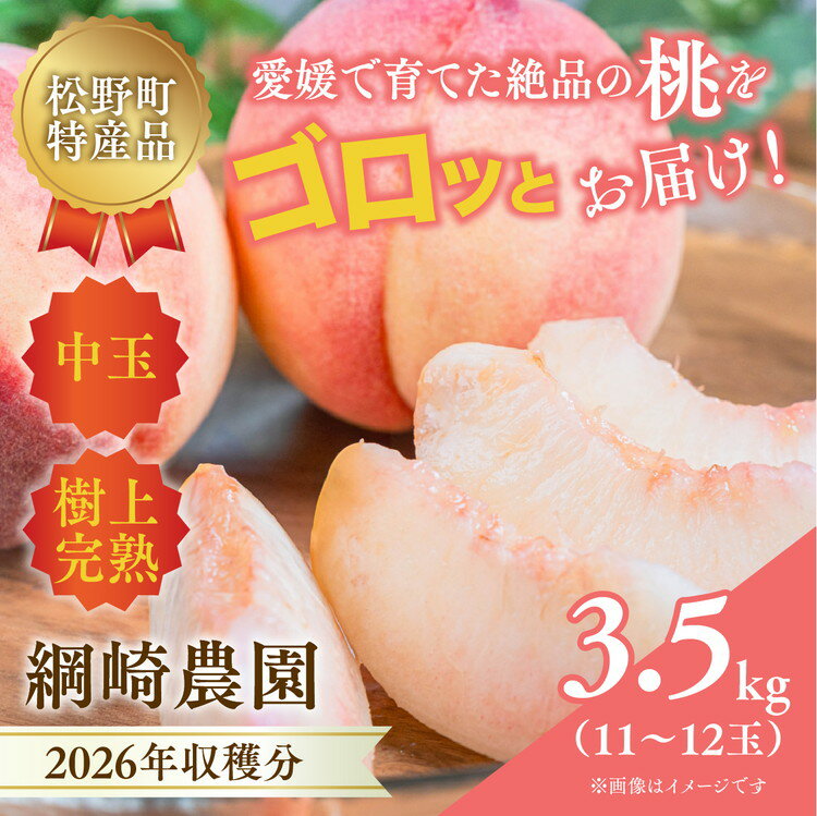 【ふるさと納税】【2026年出荷分先行予約】愛媛の桃どころ「綱崎農園」から届ける中玉桃 約3.5kg ｜ ふるさと納税 桃 冷蔵 松野町 フルーツ ギフト ※2026年6月中旬～発送