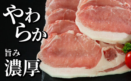 長崎県産豚 ロース生姜焼き用 計1kg (500g×2)